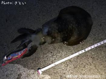 �����ꥤ��