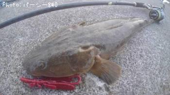 ¥Õ¥é¥Ã¥È¥Ø¥Ã¥É