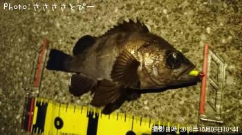 ��Х�������Х�