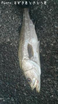 �����Х�