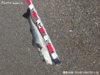 �����Х�