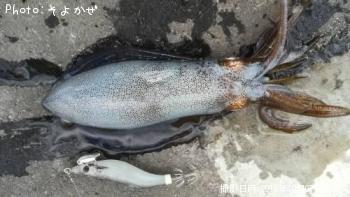 �����ꥤ��