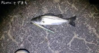 �����Х�