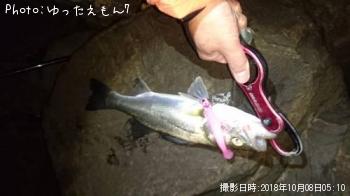 �����Х�