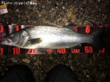 �ҥ饹����