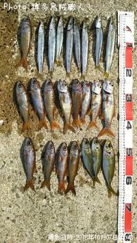 ���ޥ�����ġ�����