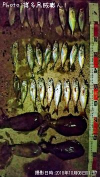 ��������ġ������ꥤ��