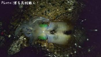 ��������ġ������ꥤ��