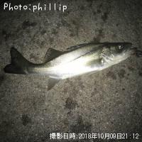 �����Х�