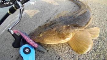 ¥Õ¥é¥Ã¥È¥Ø¥Ã¥É