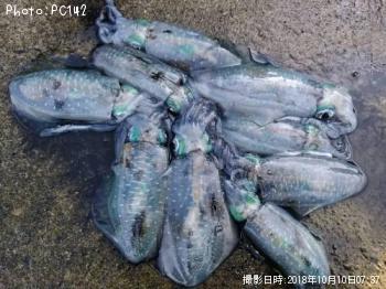 �����ꥤ��