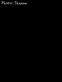 ����