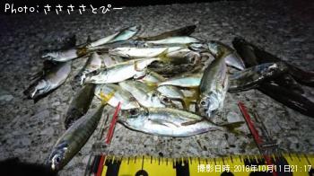 ��������Х�