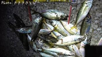 ��������Х�