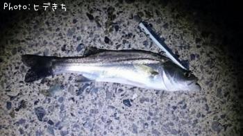 �����Х�