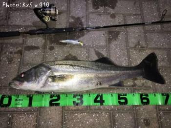 �����Х�