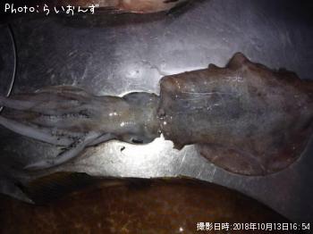 �����ꥤ��