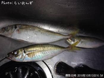 �����ꥤ��