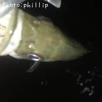 �����Х�