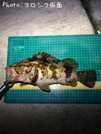 �����Υ���Х�