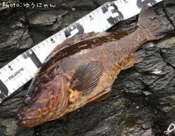 �����Υ���Х�