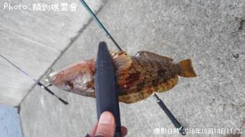 �����ʥ�