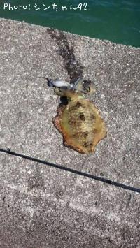 �����ꥤ��