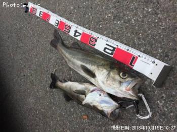 �����Х�