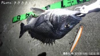 ¥¯¥í¥À¥¤