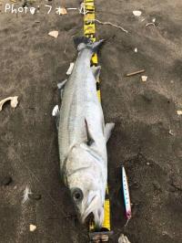 �����Х�