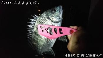 ¥¯¥í¥À¥¤¡õ¥¢¥¸