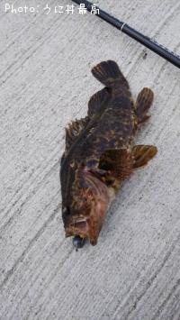 �٥å�������