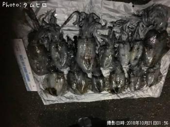 ¥¢¥ª¥ê¥¤¥«