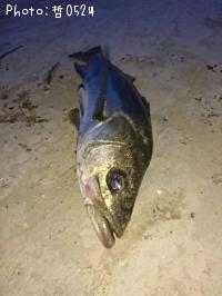 �����Х�