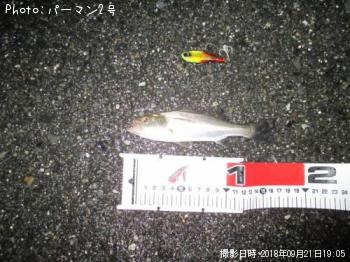 �����Х�