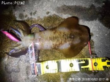 �����ꥤ��