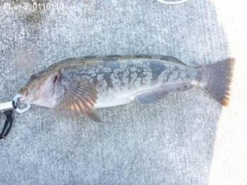 �����ʥ�