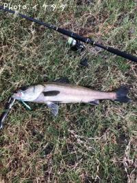 �����Х�