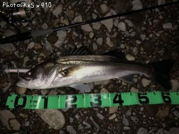 �����Х�