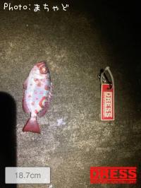 �ҡ����ڥ��ޥҥ쥭��ȥ���