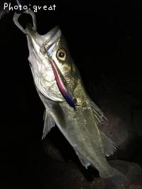 �����Х�