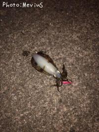 ¥¢¥ª¥ê¥¤¥«