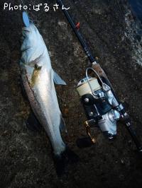 �����Х�