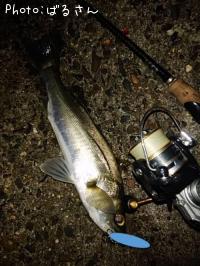 �����Х�