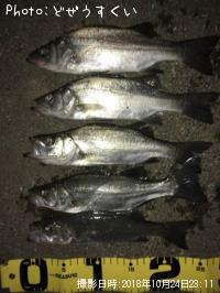 �����Х��ʥҥ饻������