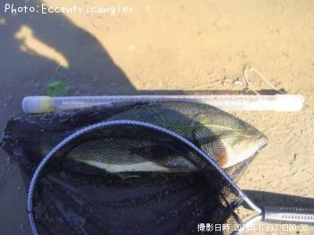 �֥�å��Х�