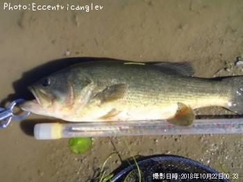 �֥�å��Х�