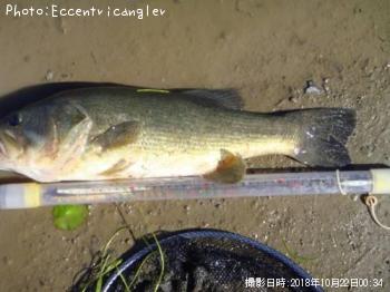 �֥�å��Х�