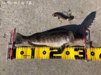 �����ʥ�