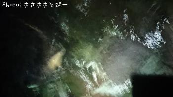 �����Х�